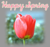 happy spring